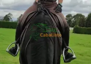 Tu pasión por la equitación merece lo mejor: Botas de cuero personalizadas.