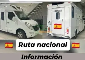 TRANSPORTES DE CABALLOS  SURESTE