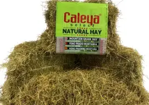 SELECT HAY HENO PRADO