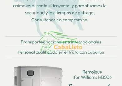 Transporte
