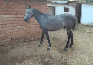 En venta