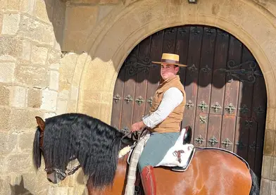 Caballo PRE de 5 años recién hechos, manso y guapo metido en eventos con más caballos