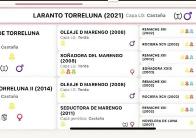 SEMENTAL LARANTO TORRELUNA
