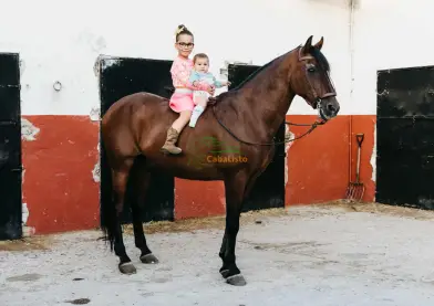 Vendo pre