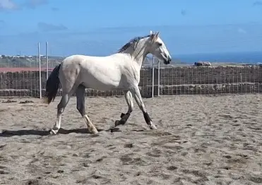 Nieta de Yucatan de Ramos
