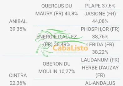 Yegua hispano Árabe 50%