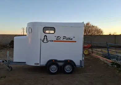 Se dan portes de caballos