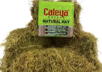 SELECT HAY HENO PRADO