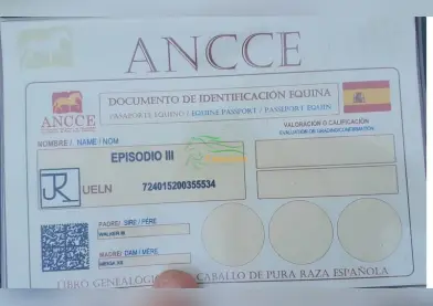 Pre semental 5 años