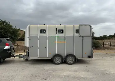 Van Ifor Williams (2020)