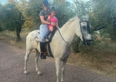 Se vende caballo tordo