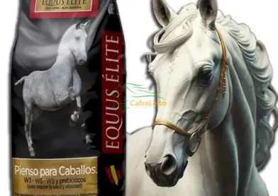 Equus elite alta gama