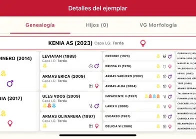 Pura raza española 2 años